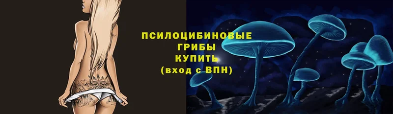 Галлюциногенные грибы мицелий  МЕГА ссылка  Горбатов  где найти наркотики 